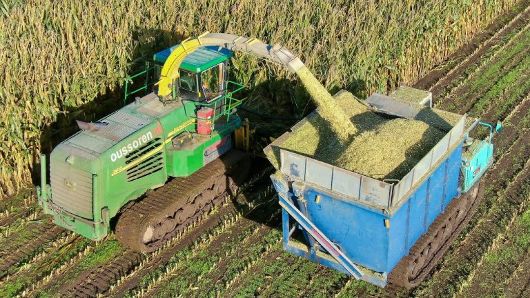 Modderen in de mais 2020 |John Deere hakselaar op rupsen Oussoren specialiseerde zich in het mais hakselen onder natte omstandighede