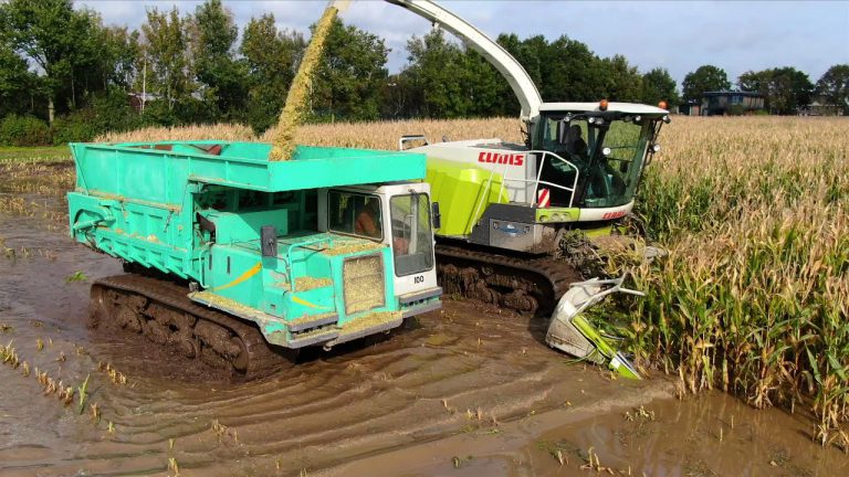Tractorspotter — Modderen in de mais 2020 met een Claas Jaguar 940 & Kato track dumpers