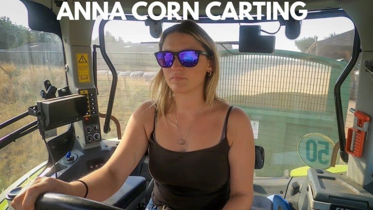 Anna rijdt graan met een Claas Axion 950