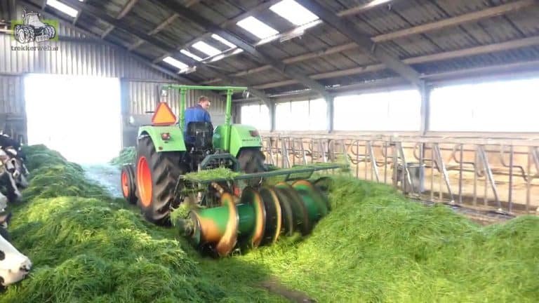 Laatste verse gras van 2020