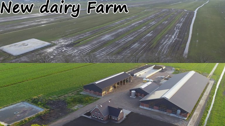 Een melkveebedrijf bouwen vanuit niks | Voor 200 koeien