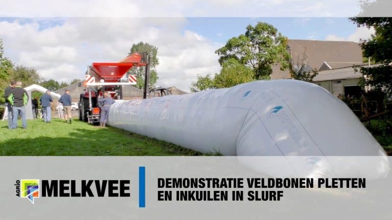 Demonstratie veldbonen (Hoogwaardige krachtvoervervanger) pletten en inkuilen in slurf