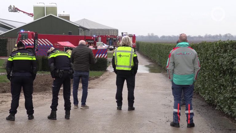 Brand in varkensstal in Netterden