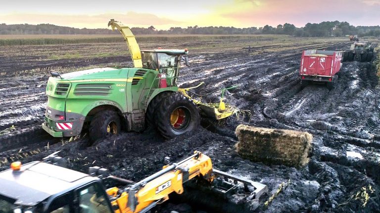 Maisoogst in Frankrijk 2020 was vol problemen