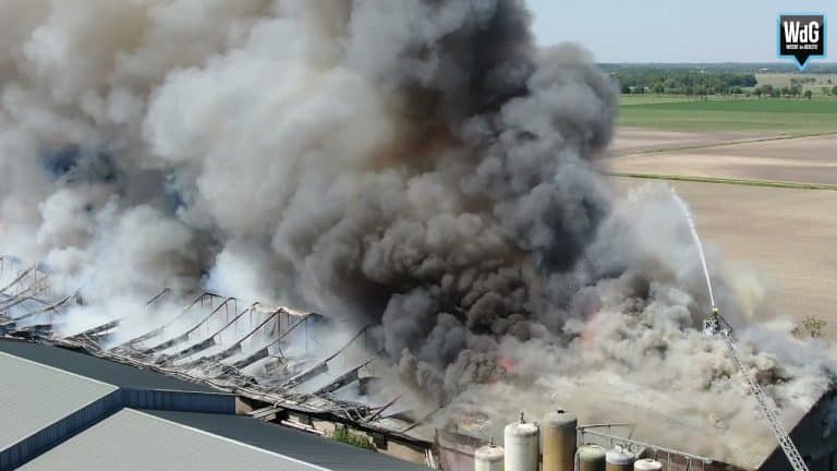 Grote stalbrand in Nederweert | 4600 varkens omgekomen