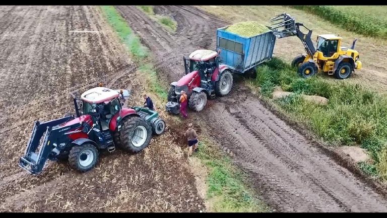 Maisoogst 2021 met problemen
