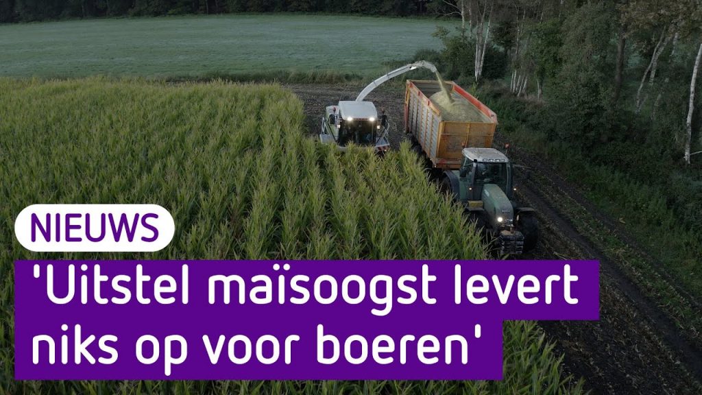 Boeren mogen toch langer doen over de maisoogst maar komt te laat voor veel boeren