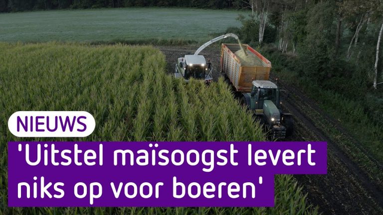 Boeren mogen toch langer doen over de maisoogst maar komt te laat voor veel boeren