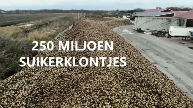 Grootste Bietnbult van Nederland! | 6000 TON!