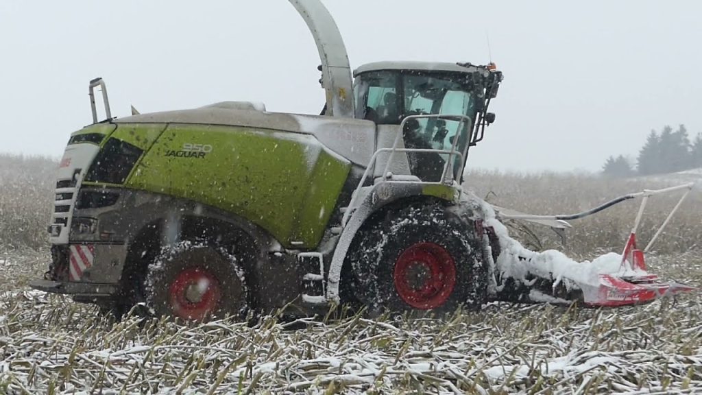 Maisoogst in de sneeuw 2021!