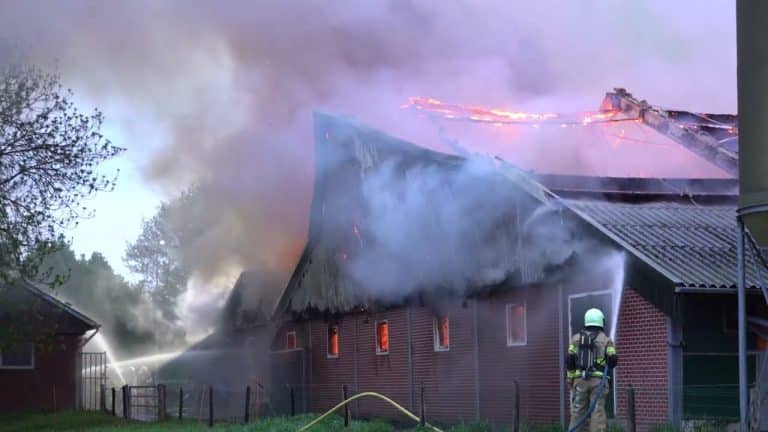 Brand in kippenstal met 25000 kippen. | Meternieuws