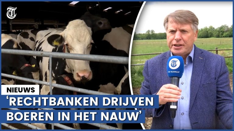 Rechtbanken drijven boeren in het nauw | Boertje pesten | Vergunning voor koeien…