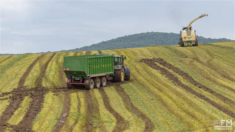 Flink nat in Slowakije! Silage 2022 met Krone BigX 650 hakselaar en 3x John Deere trekkers