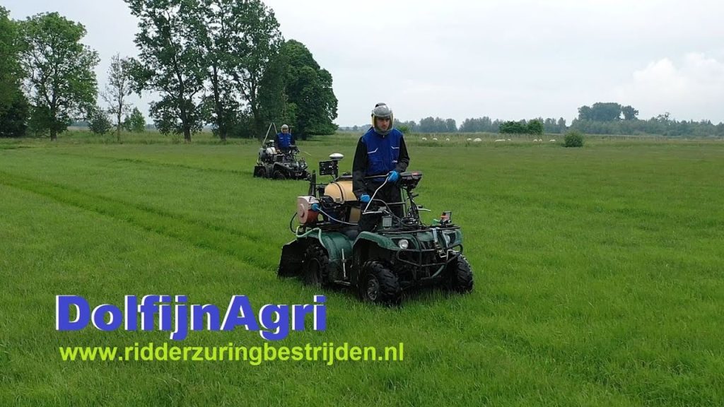 De Groningse veehouder Jan Dolfijn heeft een innovatieve methode ontwikkeld om ridderzuring in grasland te bestrijden.