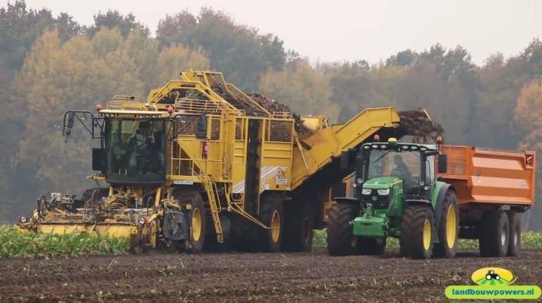 Ropa bietenrooi demonstratie in Beilen met de Ropa Tiger en de Ropa Panther — Landbouwpowers NL